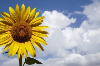 La nouvelle mouture de la loi sur le CO2 ne contient pas de taxes (archives).